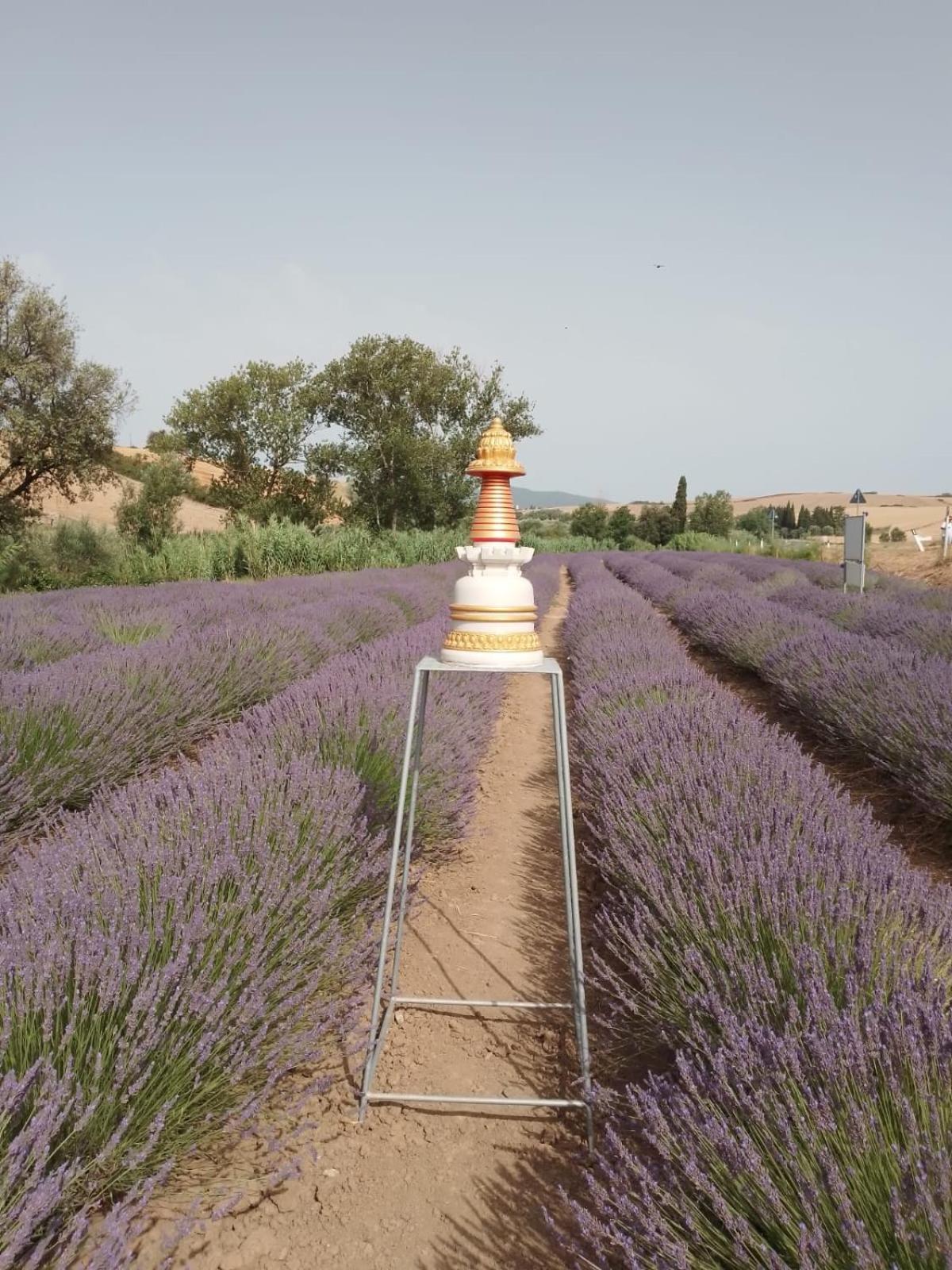 Casa Storica Con Terrazzo Villa Castellina Marittima Buitenkant foto